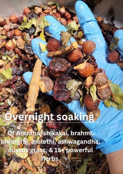 Juju’s Nourishing Aritha Sulfate Free Shampoo - Image 2