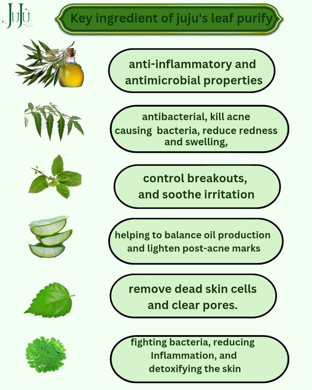 JUJU's Fresh Leaf Purify Facewash 100 ml - Image 4