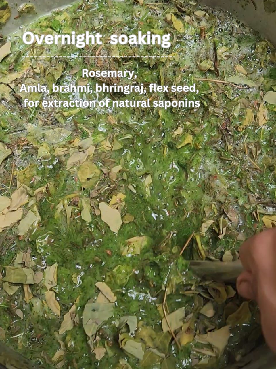 JUJU's Anti Hairfall Rosemary Sulfate Free Shampoo 300ml - Image 2